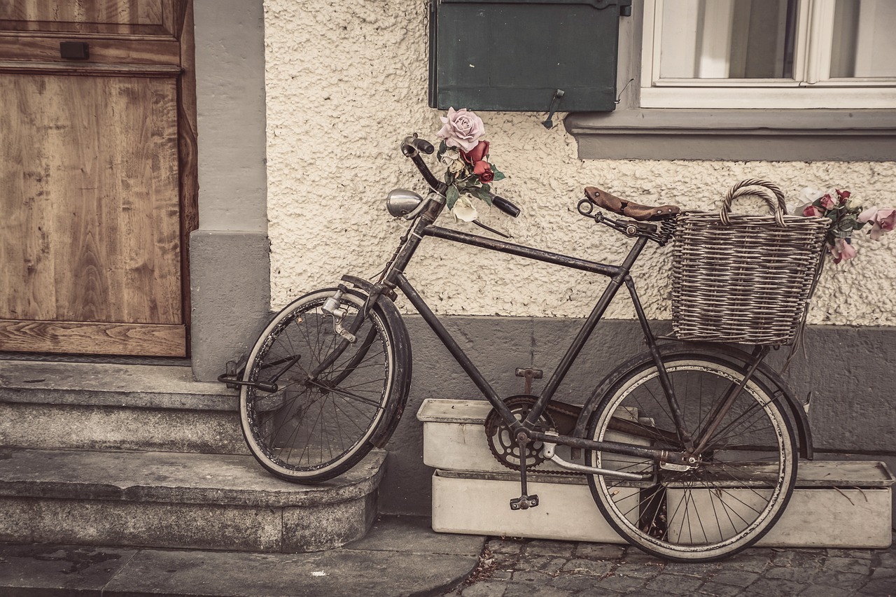 bicycle, velo, wheel